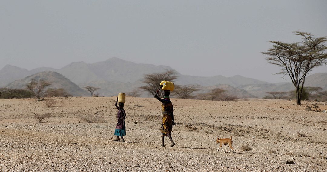 Photo - REUTERS